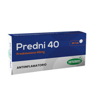 Imagen de PREDNI 40 Prednisolona - 10 Comprimidos