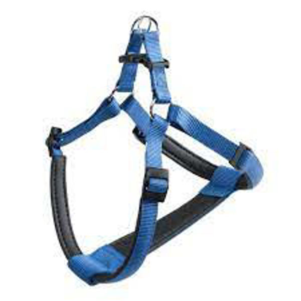 Imagen de PRETAL FERPLAST DAYTONA P SMALL AZUL