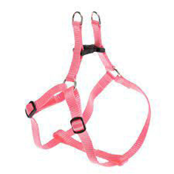 Imagen de PRETAL FERPLAST EASY P XXS ROSA