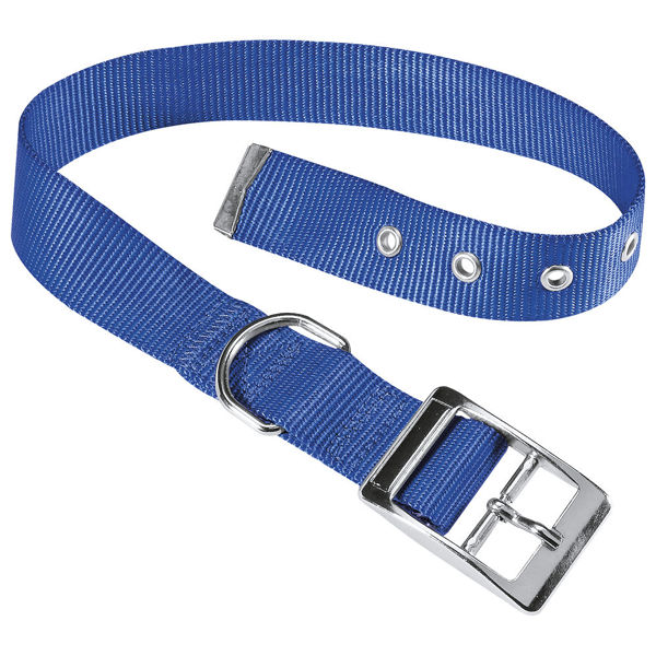 Imagen de Collar Para Perro FERPLAST Club CF 25/45 Color Azul Talle L