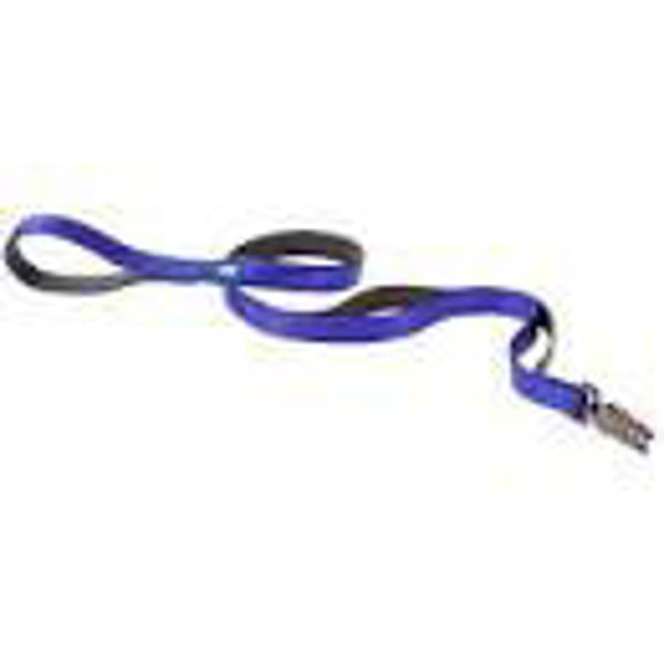 Imagen de Correa Para Perro FERPLAST Dual Matic G15/120 Color Azul