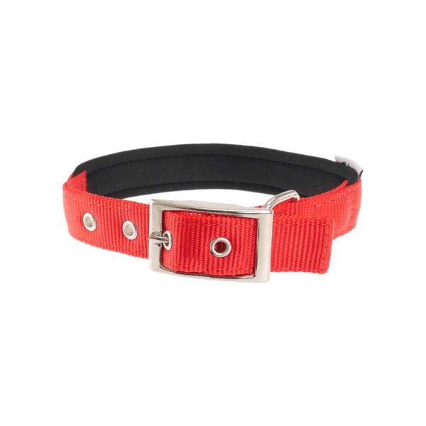 Imagen de Collar Para Perro FERPLAST Daytona C15/35 Color Rojo Talle XS/S