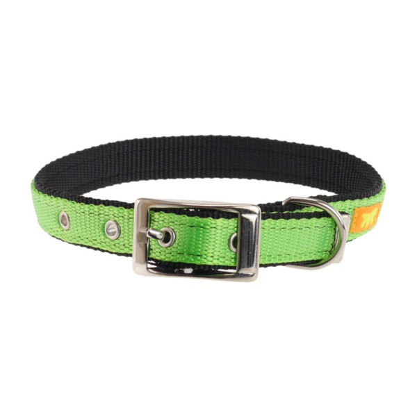 Imagen de Collar Para Perro FERPLAST Dual CF25/45 Colours Color Verde Talle M