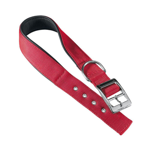Imagen de Collar Para Perro FERPLAST Daytona C25/45 Color Rojo Talle L