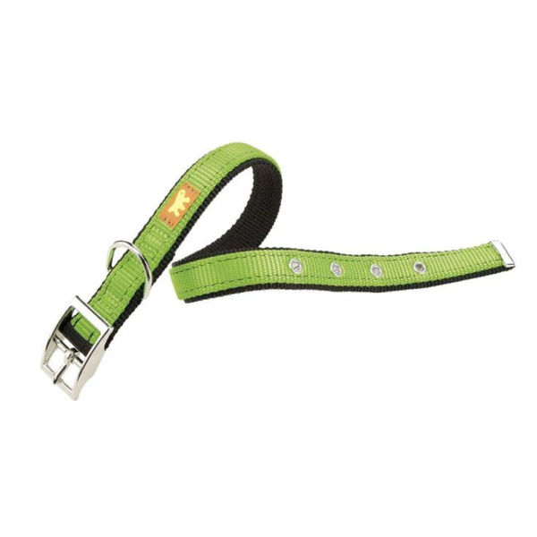 Imagen de Collar Para Perro FERPLAST Dual CF20/43 Colours Color Verde Talle M