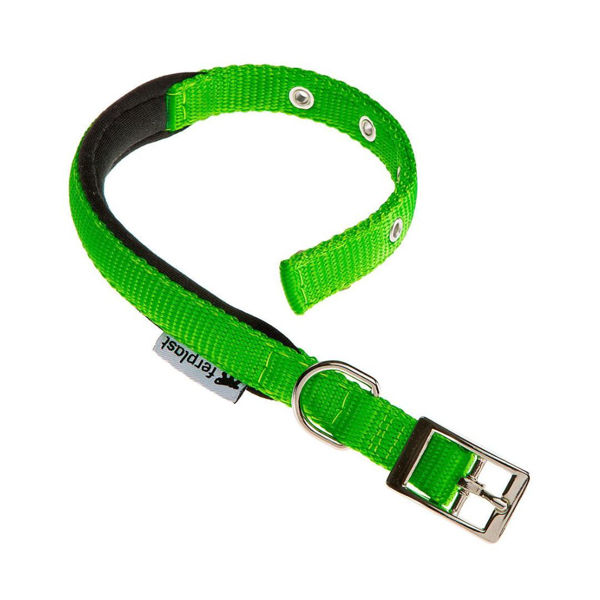 Imagen de Collar Para Perro FERPLAST Daytona C25/45 Color Verde Talle L