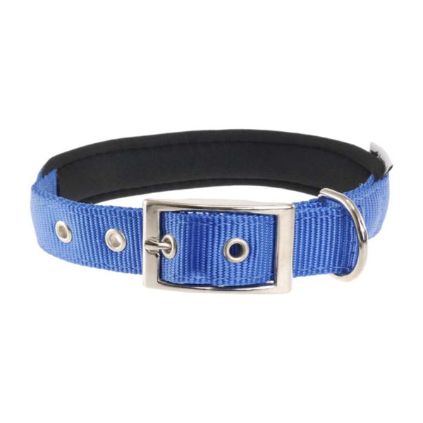Imagen de Collar Para Perro FERPLAST Daytona C15/35 Color Azul Talle XS/S