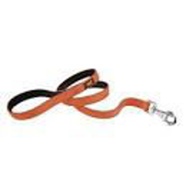 Imagen de Correa Para Perro FERPLAST Dual G20/110 Colours Color Naranja