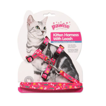 Imagen de PRETAL Y CORREA PAWSIE GATO KITTEN HARNESS VARIOS DISEÑOS