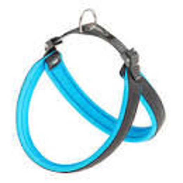 Imagen de PRETAL FERPLAST AGILA FLUO 8 AZUL