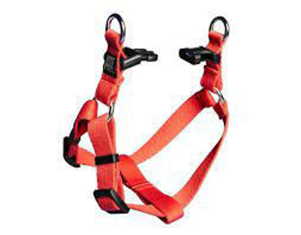 Imagen de PRETAL FERPLAST DAYTONA P MEDIUM ROJO