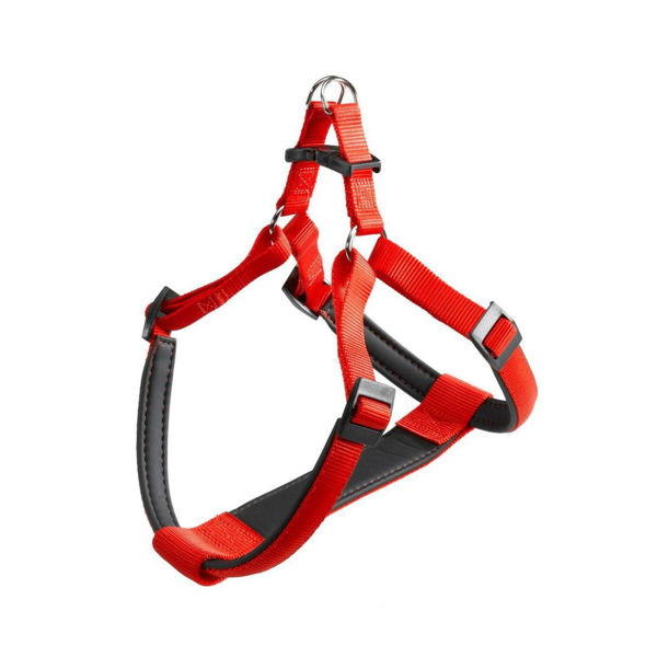 Imagen de PRETAL FERPLAST DAYTONA P SMALL ROJO