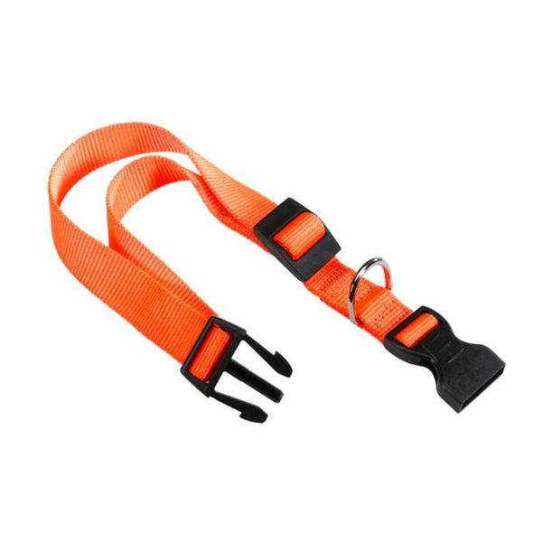 Imagen de Collar Para Perro FERPLAST Club C15/44 Color Naranja Talle XS-S