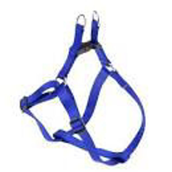 Imagen de PRETAL FERPLAST EASY P XXS AZUL