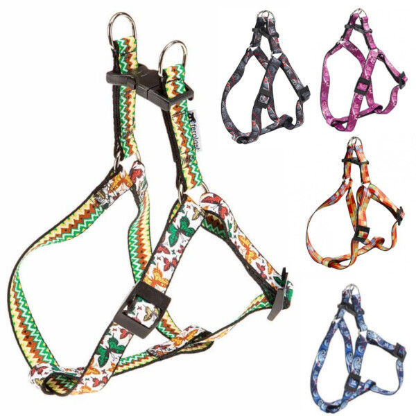 Imagen de PRETAL FERPLAST ARLECCHINO P LARGE VARIOS DISEÑOS