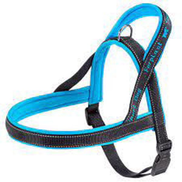 Imagen de PRETAL FERPLAST SPORT DOG LARGE AZUL