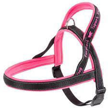 Imagen de PRETAL FERPLAST SPORT DOG LARGE ROSA