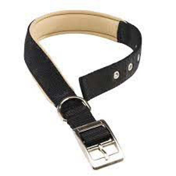 Imagen de Collar Para Perro FERPLAST Daytona C30/55 Color Negro Talle L