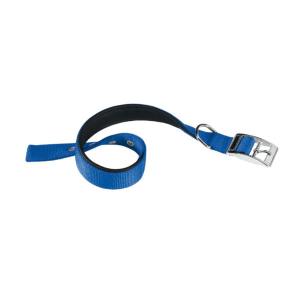 Imagen de Collar Para Perro FERPLAST Daytona C30/55 Color Azul Talle L