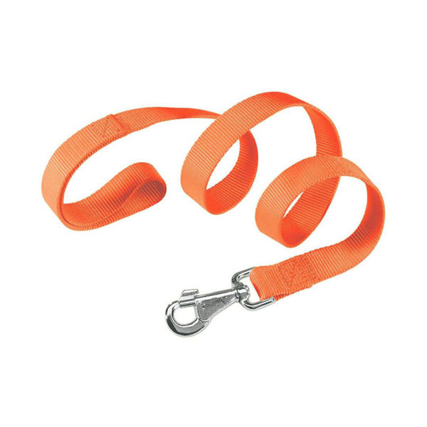 Imagen de Correa Para Perro FERPLAST Club G10/120 Color Naranja