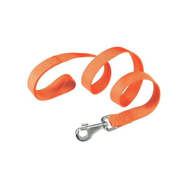 Imagen de Correa Para Perro FERPLAST Club G20/120 Color Naranja Talle M