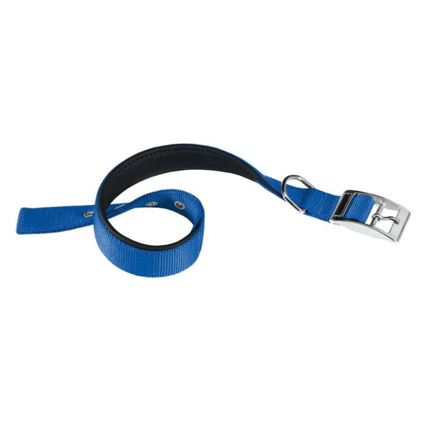 Imagen de Collar Para Perro FERPLAST Daytona C25/45 Color Azul
