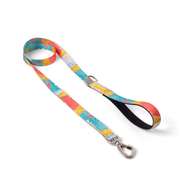 Imagen de Correa Para Perro CACHORREIROS Pitaya 1.20 mts Talle L