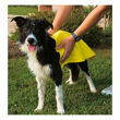 Imagen de Toalla Dog Towel FERPLAST Para Perro GRO 5958
