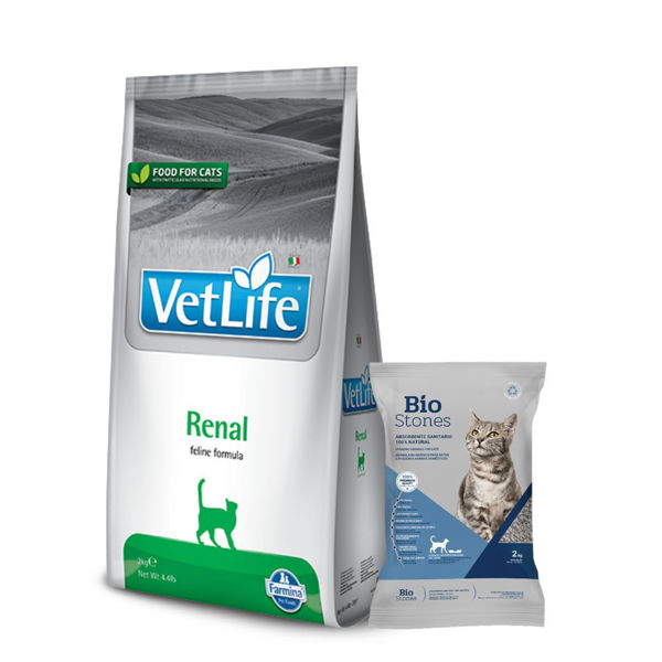 Imagen de Alimento VET LIFE Gato Renal 2 kg + Regalo
