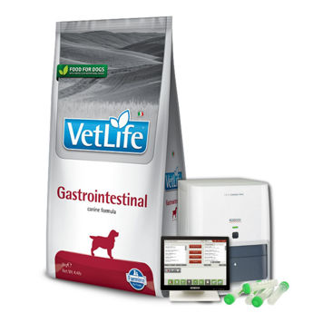 Imagen de Alimento VET LIFE Perro Gastro-Intestinal 10 kg + Regalo