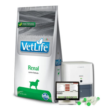 Imagen de Alimento VET LIFE Perro Renal 10 kg + Regalo