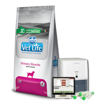 Imagen de Alimento VET LIFE Perro Urinary Struvite 10 kg + Regalo