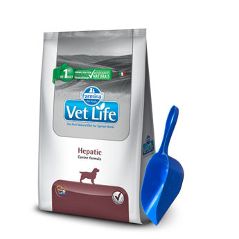 Imagen de Alimento VET LIFE Perro Hepatic 2 kg + Regalo