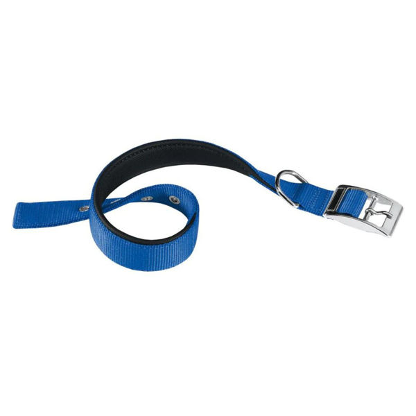 Imagen de Collar Para Perro FERPLAST Daytona C25/53 Color Azul