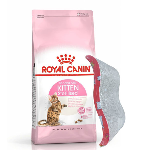 Imagen de Alimento ROYAL CANIN Gato Cachorro Kitten Castrado 2 kg + Regalo