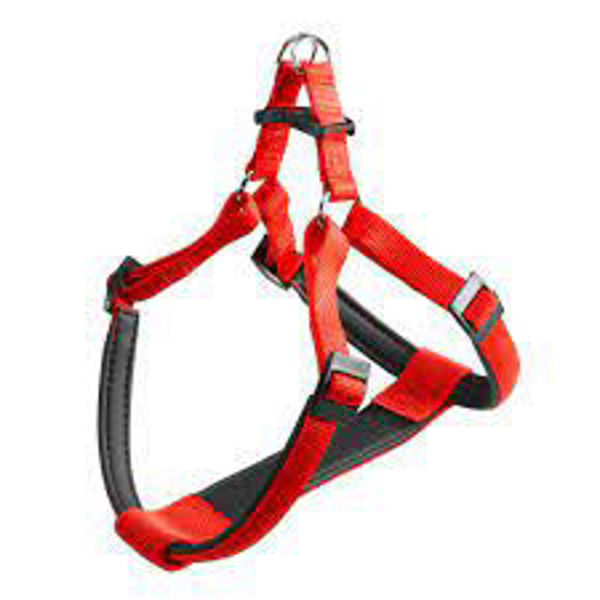 Imagen de PRETAL FERPLAST DAYTONA P EXTRA LARGE ROJO