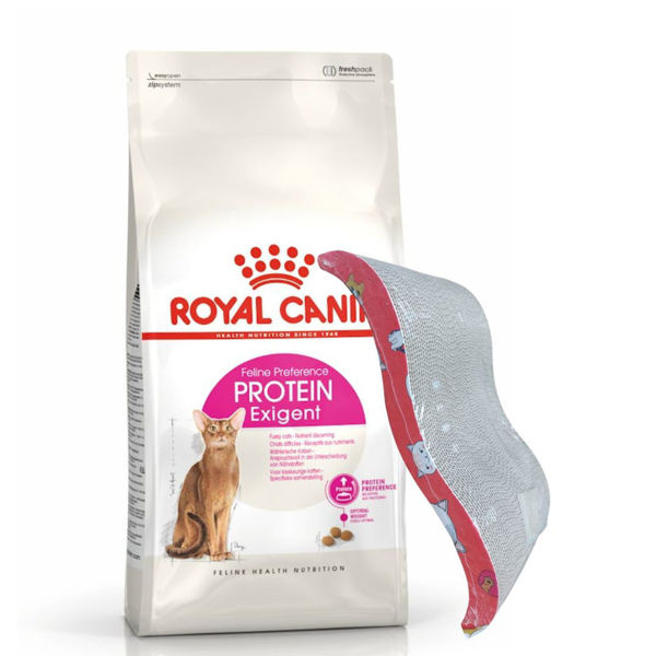 Imagen de Alimento ROYAL CANIN Gato Protein Exigent 2 kg + Regalo