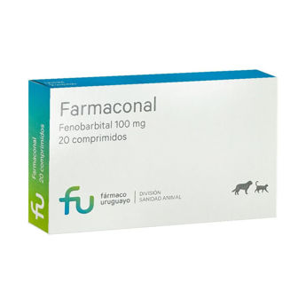 Imagen de Antiepiléptico FARMACONAL 100 mg - 20 Comprimidos