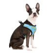 Imagen de Arnés Para Perro LILI MASCOTA Fresh Talle M - Varios Diseños