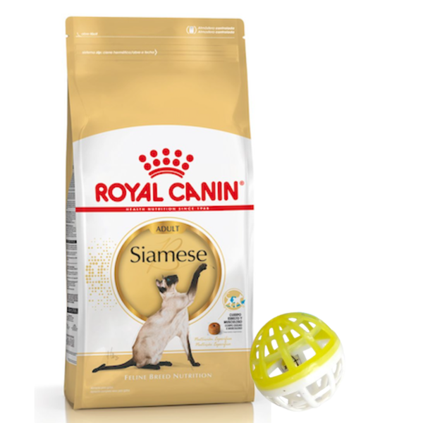 Imagen de Alimento ROYAL CANIN Gato Siamese 1,5 kg + Regalo