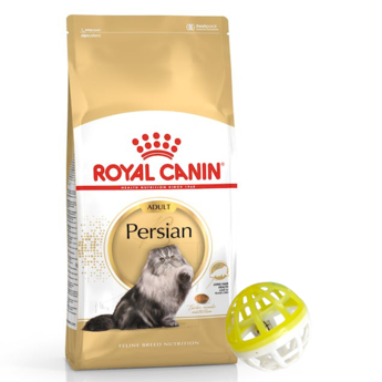 Imagen de Alimento ROYAL CANIN Gato Persian 1,5 kg + Regalo