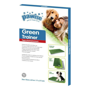 Imagen de Pasto De Entrenamiento PAWISE Green Trainer 43x69 cm