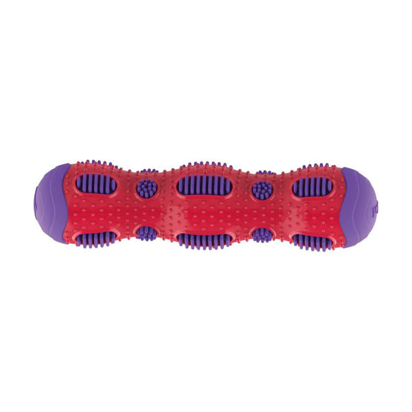 Imagen de Juguete Para Perro GIGWI Palo Dental Toothbrush Stick
