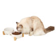 Imagen de Plato Doble M-PETS Cerámica 2x850 ml Blanco