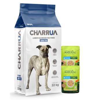 Imagen de Alimento CHARRUA Perro Adulto 22 kg + Regalo