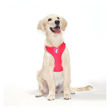 Imagen de Arnés Para Perro FREEFARO Air Imaginario Talle G