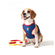 Imagen de Arnés Para Perro FREEFARO Air Recreio Talle M