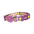 Imagen de Collar Para Perro FREEFARO Serena Talle P