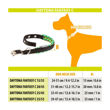 Imagen de Collar Para Perro FERPLAST Daytona C20/43 Fucsia