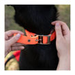 Imagen de Collar Para Perro FERPLAST Daytona Fantasy C25/53 Naranja